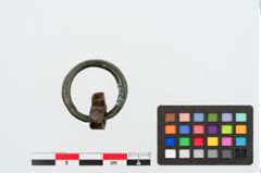 Foto von Bronzering (NHMW-PRAE-024946)